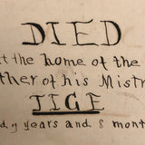 Hand-written Obituary for Beloved Cat Tige, 1880-1889