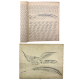 19th Century Penmanship Practice Notebook with Spencerian Bird Drawing