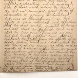 Hand-written Obituary for Beloved Cat Tige, 1880-1889