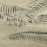 19th Century Penmanship Practice Notebook with Spencerian Bird Drawing