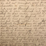 Hand-written Obituary for Beloved Cat Tige, 1880-1889