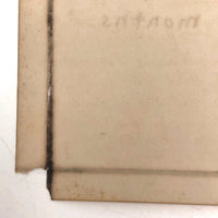Hand-written Obituary for Beloved Cat Tige, 1880-1889