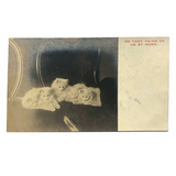 White Kittens Waiting at Home, Real Photo Captioned Postcard