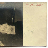 White Kittens Waiting at Home, Real Photo Captioned Postcard