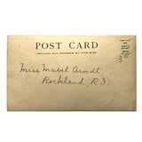 White Kittens Waiting at Home, Real Photo Captioned Postcard