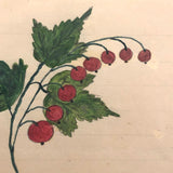 Small Early 19th Century Folk Art Watercolor, Bleeding Hearts