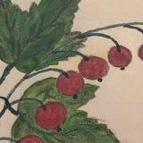 Small Early 19th Century Folk Art Watercolor, Bleeding Hearts