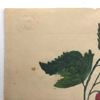 Small Early 19th Century Folk Art Watercolor, Bleeding Hearts