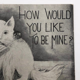 Dog and Cat "How Would You Like to Be Mine?" Antique Valentine Postcard