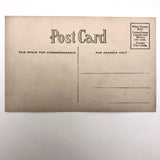 Dog and Cat "How Would You Like to Be Mine?" Antique Valentine Postcard