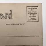 Dog and Cat "How Would You Like to Be Mine?" Antique Valentine Postcard
