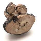 Fabulous Large, Very Heavy, Clay Cat Sculpture (Doorstop?)