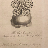Early 19th Century Engraving Illustrating Three Types of Sea Polyps