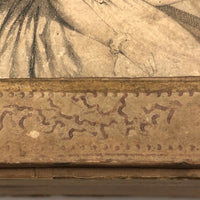 Victorian Wallpaper Covered and Lined Box with Portrait and Seaweed Patterns