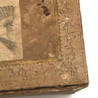 Victorian Wallpaper Covered and Lined Box with Portrait and Seaweed Patterns