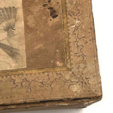 Victorian Wallpaper Covered and Lined Box with Portrait and Seaweed Patterns