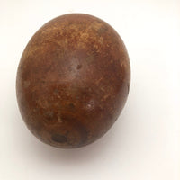Old Wooden Egg!