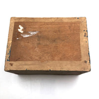 Victorian Wallpaper Covered and Lined Box with Portrait and Seaweed Patterns