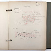 Roy L McIntosh's 1941 Harvard Histology Lab Notebook with Tons of Wonderful Diagrams