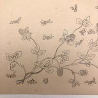 Bumblebees and Clover Old Pencil Drawing