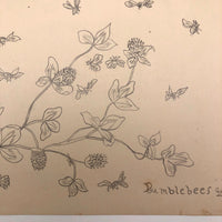 Bumblebees and Clover Old Pencil Drawing