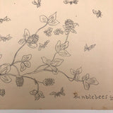 Bumblebees and Clover Old Pencil Drawing