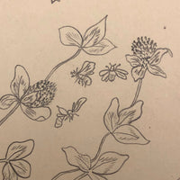 Bumblebees and Clover Old Pencil Drawing