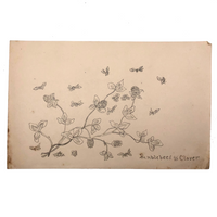 Bumblebees and Clover Old Pencil Drawing