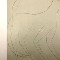 James Bone Pencil Drawing of Cat with Two Tails on Green Paper