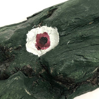 Painted Driftwood Crocodile!