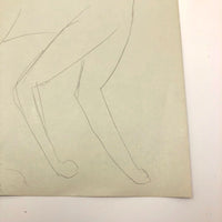 James Bone Pencil Drawing of Cat with Two Tails on Green Paper