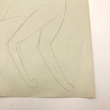 James Bone Pencil Drawing of Cat with Two Tails on Green Paper