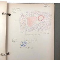 Roy L McIntosh's 1941 Harvard Histology Lab Notebook with Tons of Wonderful Diagrams