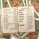 1923 Teuila Fortune Telling Cards (with Annotations) in Original Box with Instructions