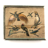 Rare Victorian Six Sided Birds Cube Puzzle in Original Box with Hand-colored Plates