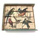 Rare Victorian Six Sided Birds Cube Puzzle in Original Box with Hand-colored Plates