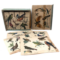 Rare Victorian Six Sided Birds Cube Puzzle in Original Box with Hand-colored Plates