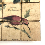 Rare Victorian Six Sided Birds Cube Puzzle in Original Box with Hand-colored Plates