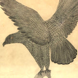 Eagle Carrying Rabbit, Antique Ink and Watercolor Drawing, Framed