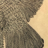 Eagle Carrying Rabbit, Antique Ink and Watercolor Drawing, Framed