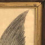 Eagle Carrying Rabbit, Antique Ink and Watercolor Drawing, Framed