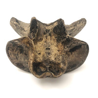 Wonderful Carved Vertebrae Head with Hat