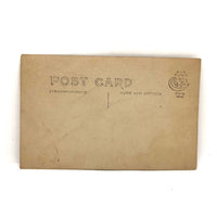 Boston Terrier on the Lawn, Old RPPC