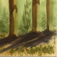 Large California Forest Watercolor, Unsigned, c. 1960s