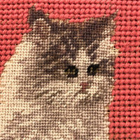 Shy Petit Point Kitten with Pink Needlepoint Ground