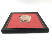 Shy Petit Point Kitten with Pink Needlepoint Ground
