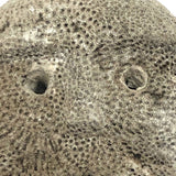 Atoni West Timorese Small Fossilized Coral Mask