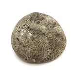 Atoni West Timorese Small Fossilized Coral Mask