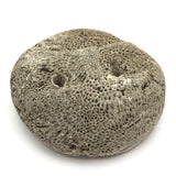 Atoni West Timorese Small Fossilized Coral Mask