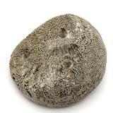 Atoni West Timorese Small Fossilized Coral Mask